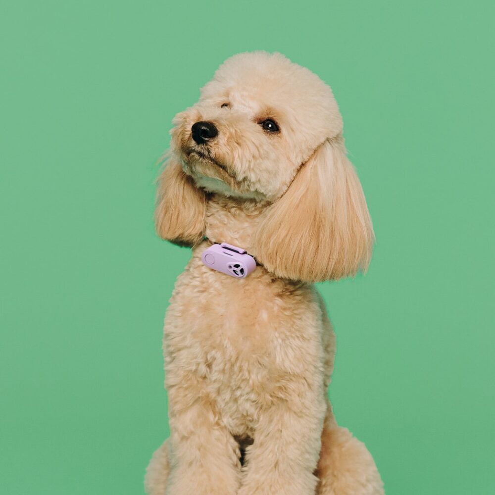 Liliowe urządzenie na kleszcze dla psa Tickless Pet Mini Lilac