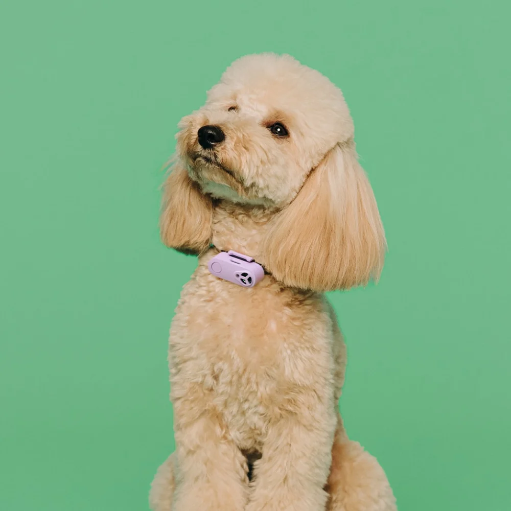 Liliowe urządzenie na kleszcze dla psa Tickless Pet Mini Lilac data-lazy-src=