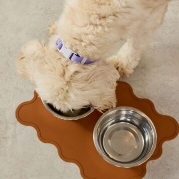 Brązowa silikonowa mata pod miski psa