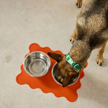 Pomarańczowa silikonowa mata pod miski psa
