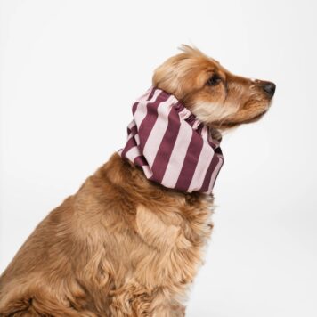 Snod dla psa - Burgundy Stripes