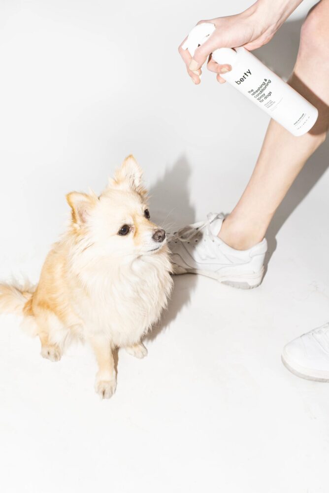 Spray odświeżający dla psa Berty 250ml