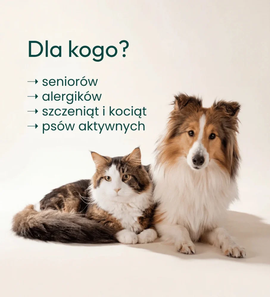 data-lazy-src=