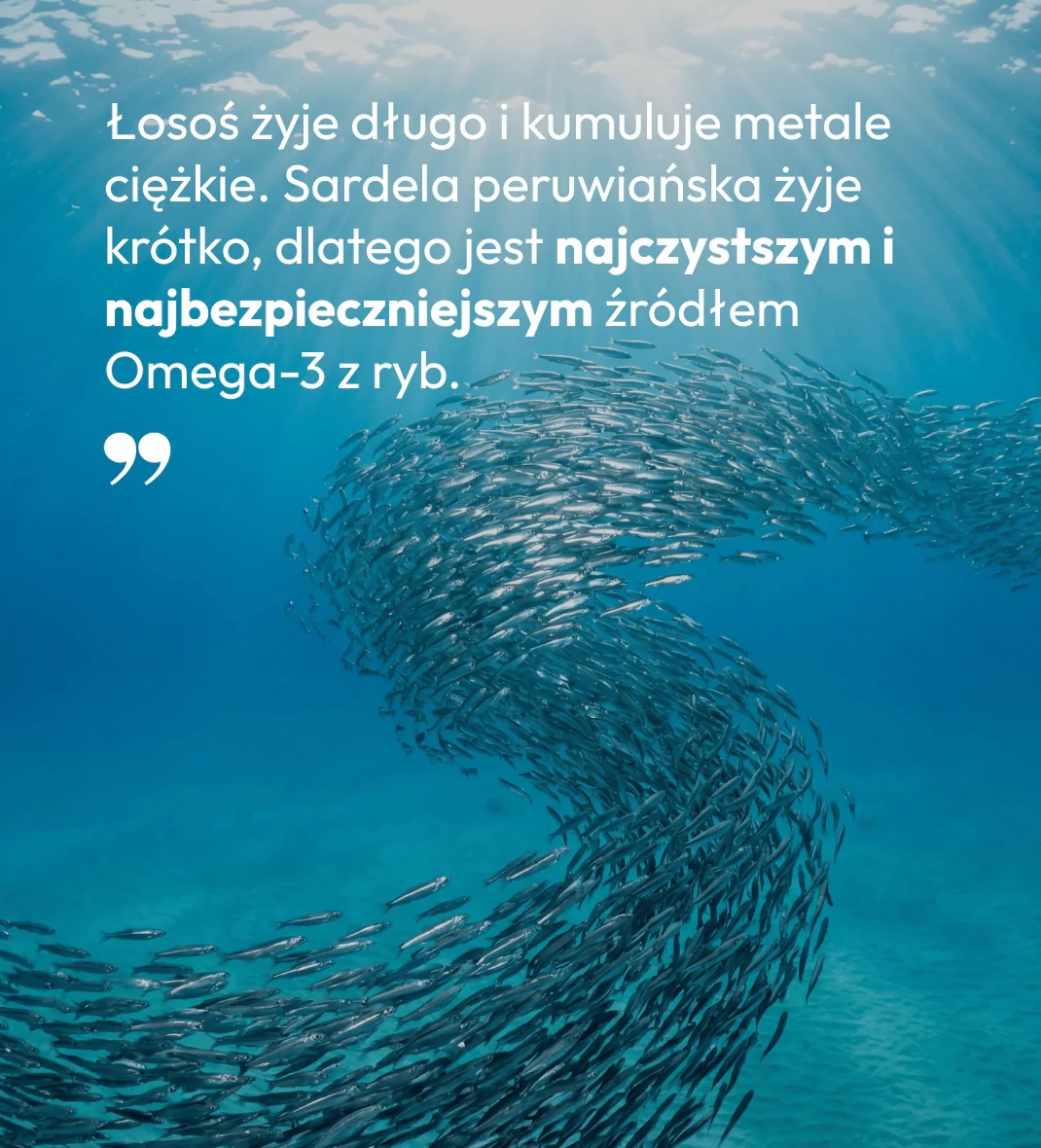 Naturalny olej omega 3 dla psa.