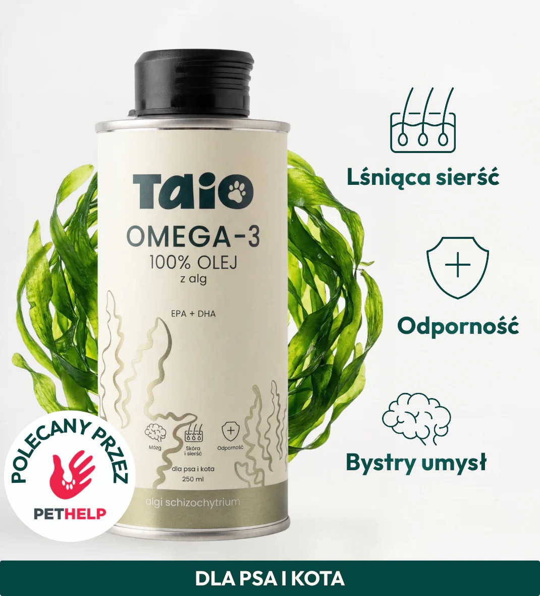 Olej z alg dla psa omega 3