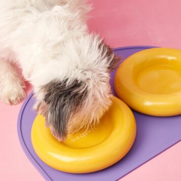 HotDog Pets Ceramic Bowl Yellow S - ceramiczna miska dla psa ręcznie robiona w Hiszpanii