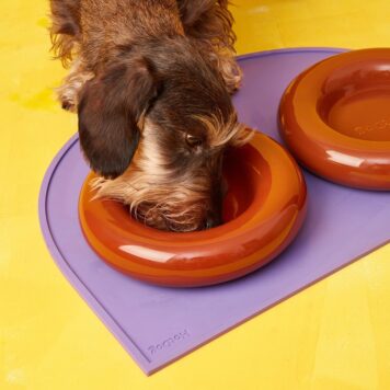 HotDog – designerska ceramiczna miska dla psa – brązowa