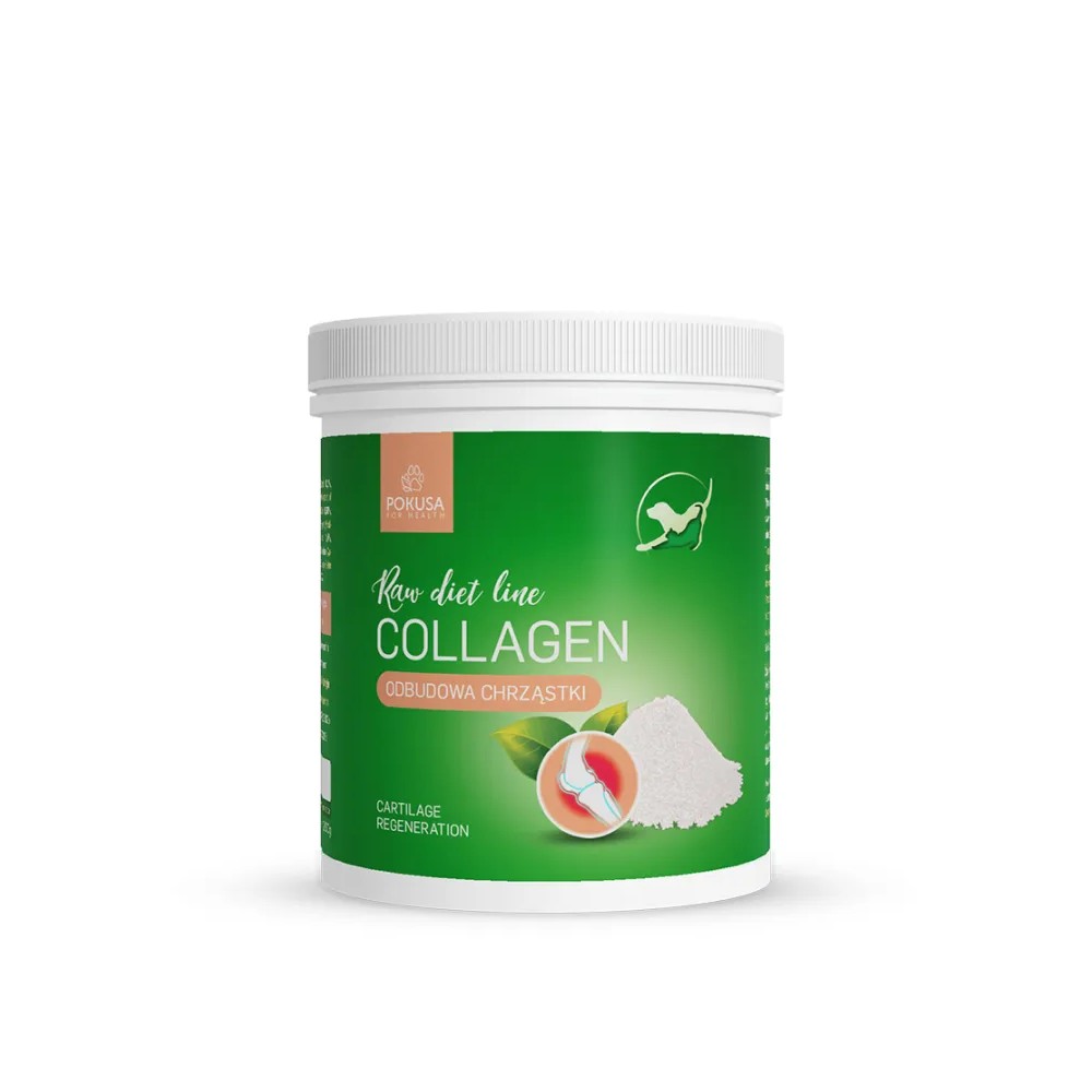 Pokusa RawDietLine Kolagen 200g - suplement z hydrolizatu kolagenu rybiego dla psa