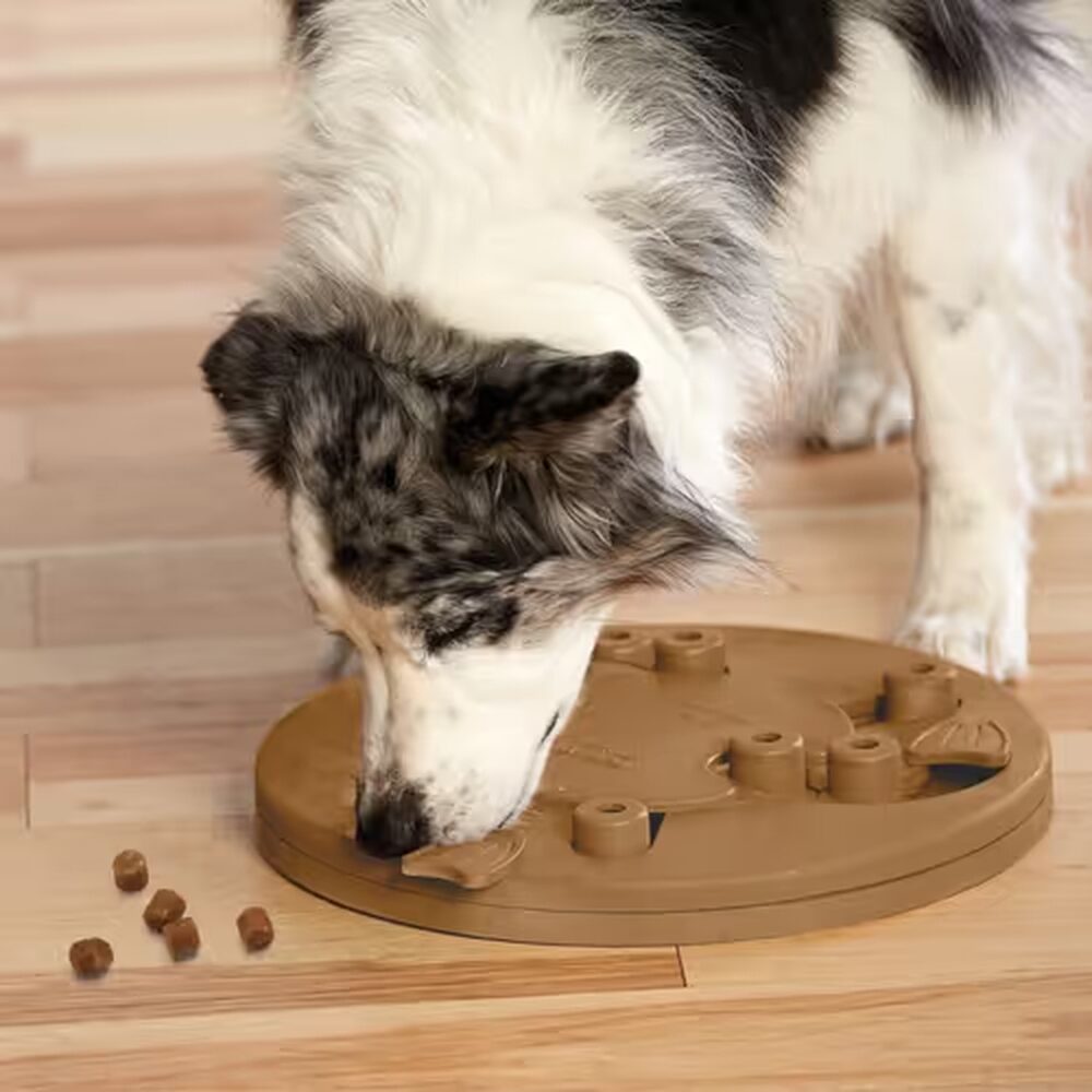 Pies rozwiązujący puzzle Dog Worker - obrotowe klapki, klocki i centralne koło