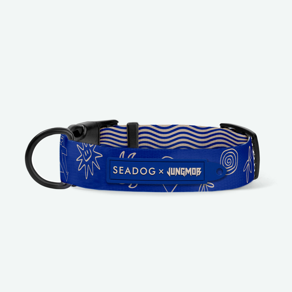 obroża dla psa Seadog Jungmob kobaltowa chabrowa