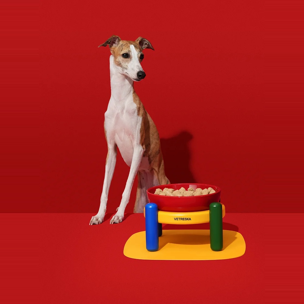 designerska miska dla psa w kolorach retro na podstawce z matą. miska dla psów z długa szyją.